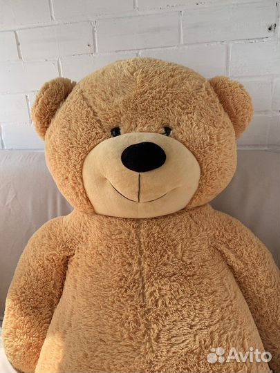 Большие плюшевые медведи