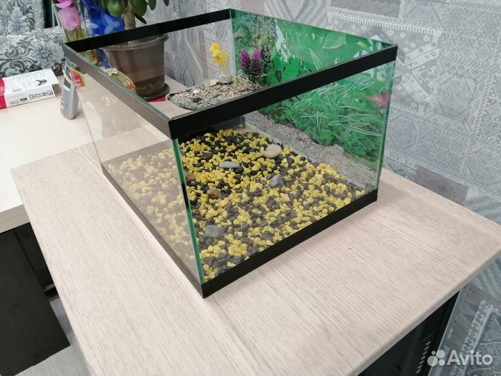 Аквариум черепашник