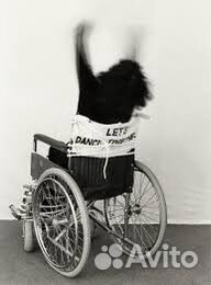 Постер Renate Bertlmann