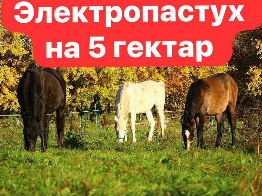 Электропастух комплект