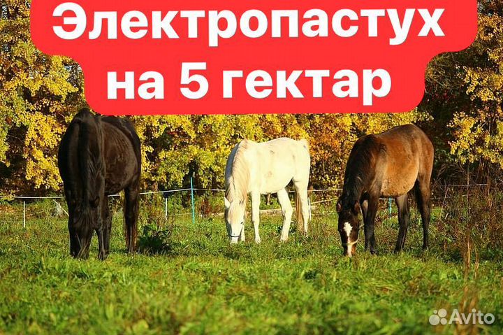 Электропастух комплект