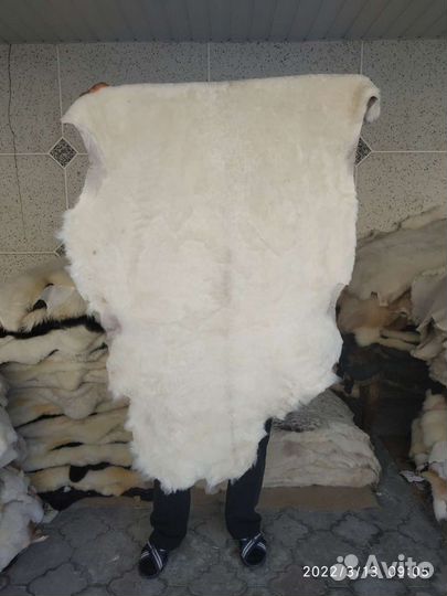 Овечьи шкуры. Шкура овечья. Подкладочные декоратив
