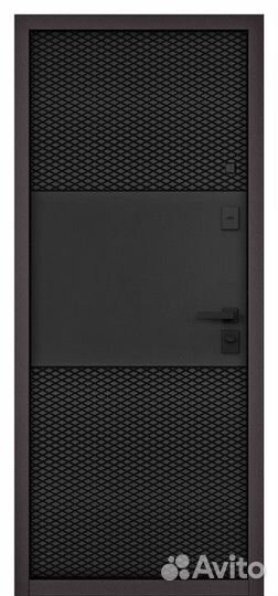 Дверь входная железная в квартиру