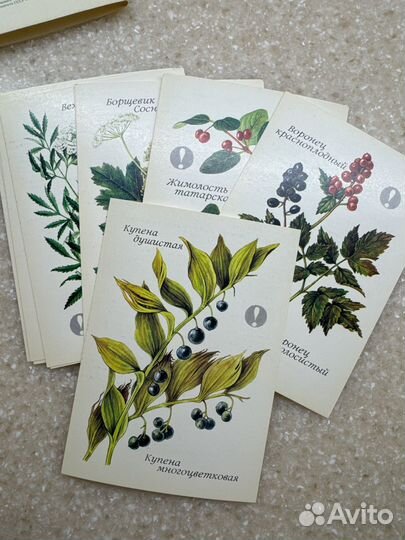 Открытки Будьте с ними осторожны