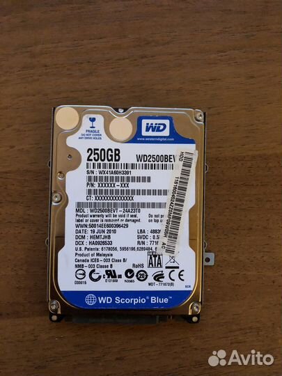 Жесткий диск wd на 250 gb