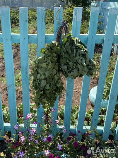 Веники банные