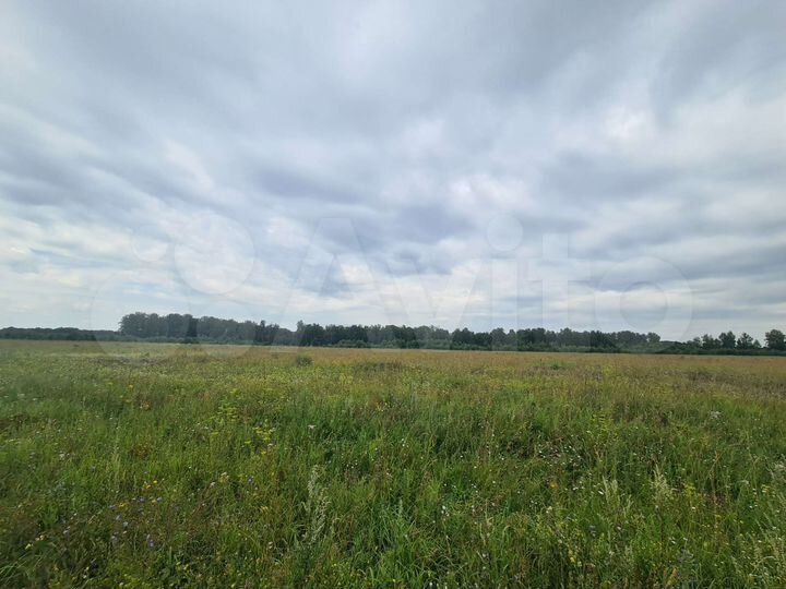 Участок 100 сот. (СНТ, ДНП)