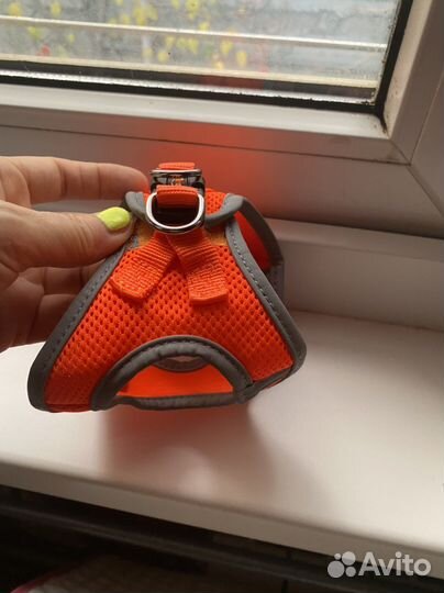 Шлейка для маленькой собачки