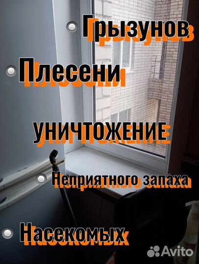 Уничтожение насекомых, грызунов, плесени и запаха