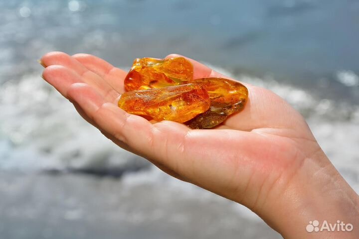 Экскурсионный тур в Калининград