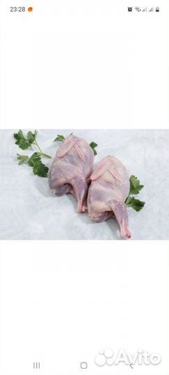 Яйцо перепелиное, инкубационное