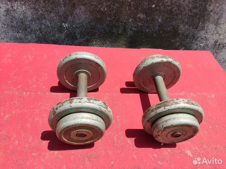 Гантели разборные