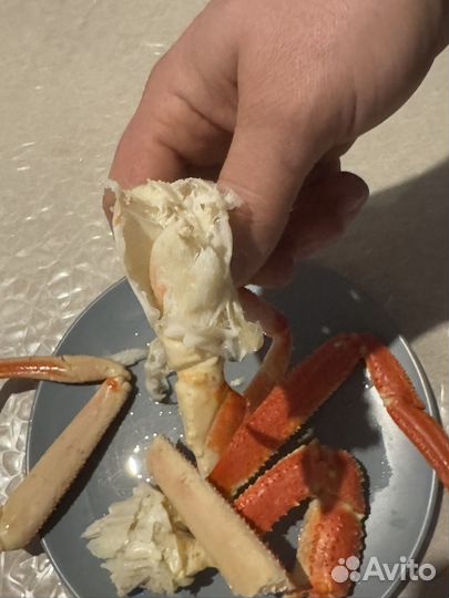 Краб стригун