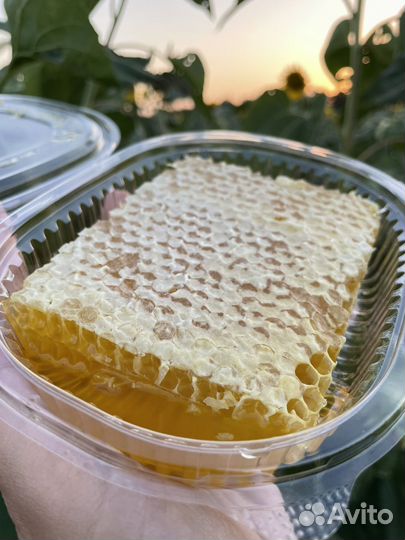 Сотовый мед