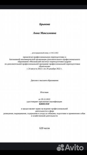 Занятия с кинологом