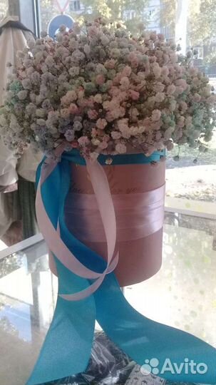 Цветы гипсофила