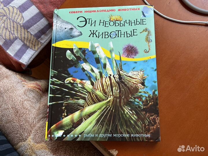 Энциклопедия для детей