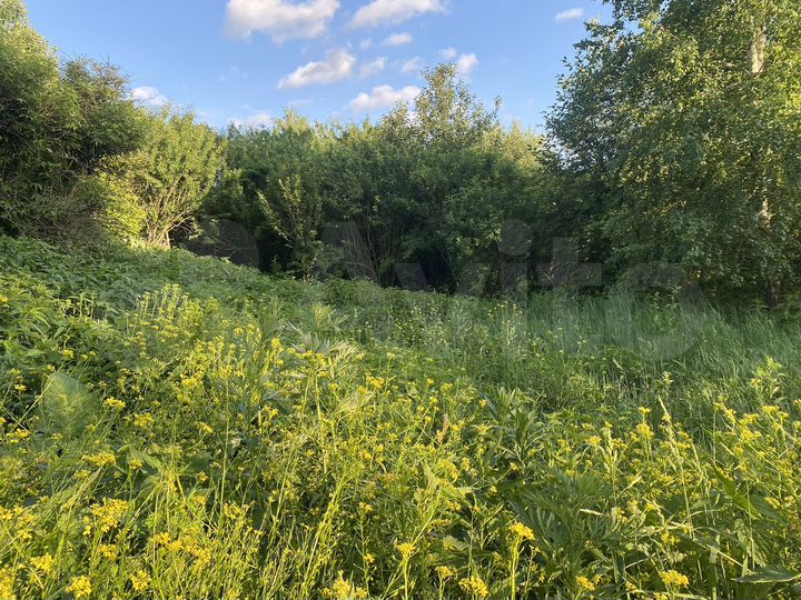 Участок 30 сот. (ИЖС)