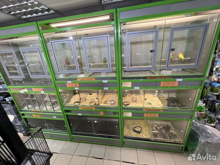 Стойка для животных и птиц в магазин