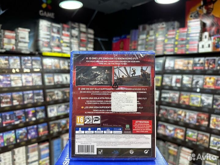 Игры для PS4: sifu