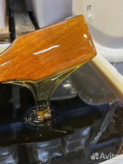 Темное разнотравье свежее оптом