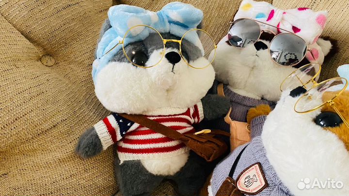 Собачка с очками lalafanfan