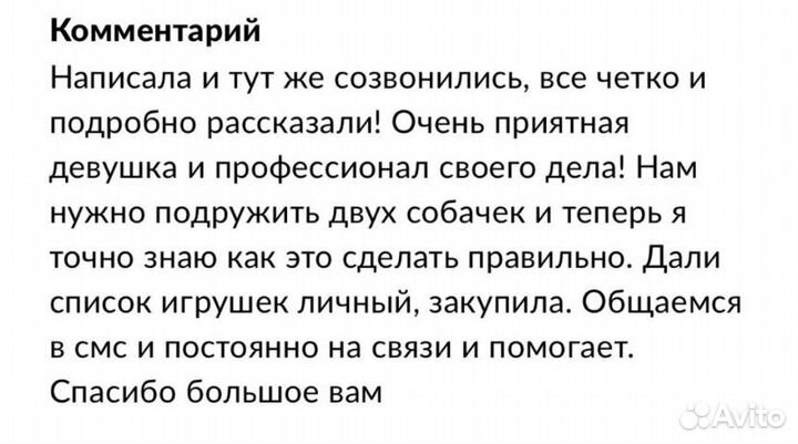 Кинолог, зоопсихолог, дрессировка собак