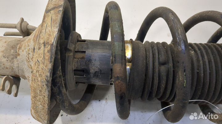 Амортизатор подвески Volkswagen Golf 4, 1999