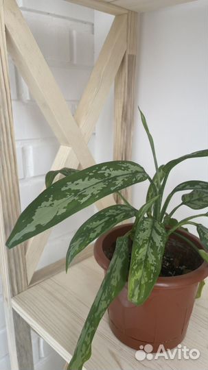 Стеллаж / этажерка