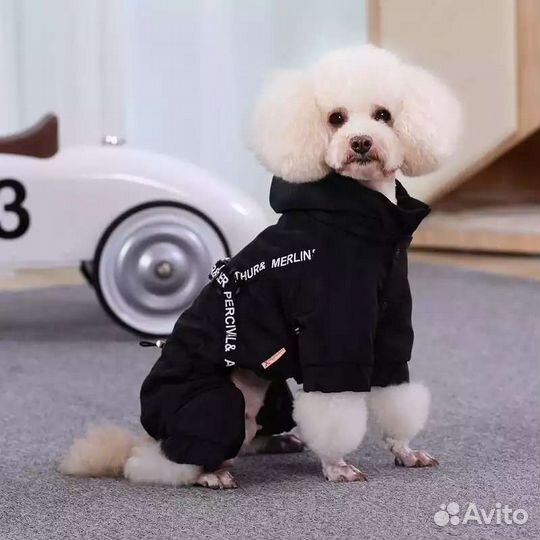 Новый комбинезон s