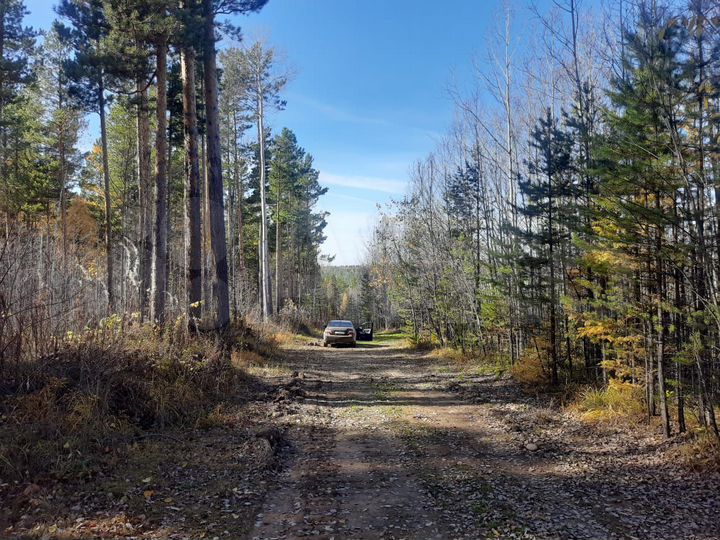 Участок 10 сот. (СНТ, ДНП)