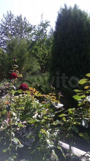 Дача 53 м² на участке 6,2 сот.