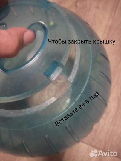 Прогулочный шар для грызунов