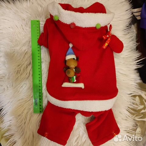 Одежда для небольшой собачки