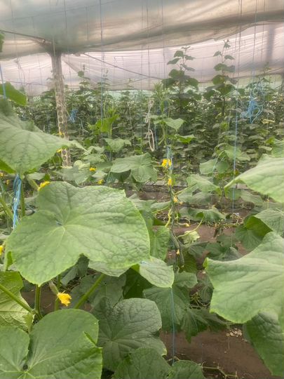 Производство, 2296 м²