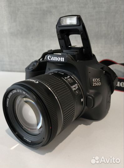 Зеркальный фотоаппарат canon Eos 250d