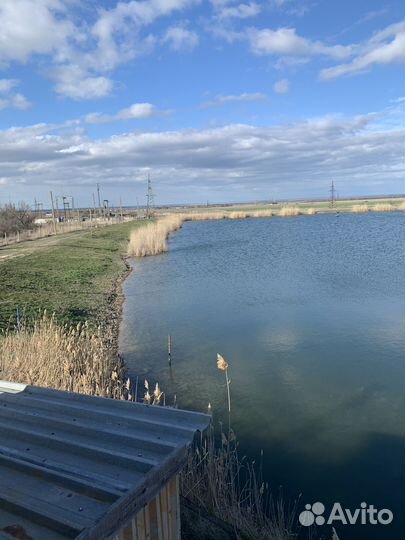 Дальний кордон