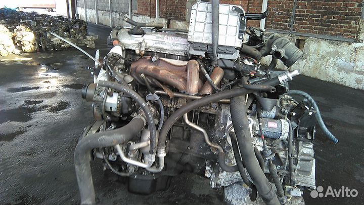 Двигатель toyota mark X ZIO ANA10 2AZ-FE