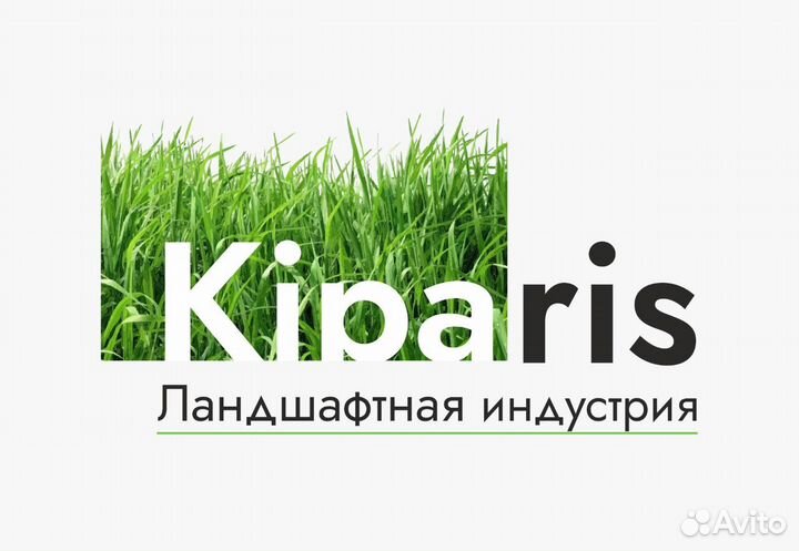 Газон рулонный Спортивный