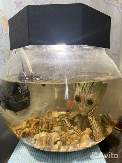 Аквариум