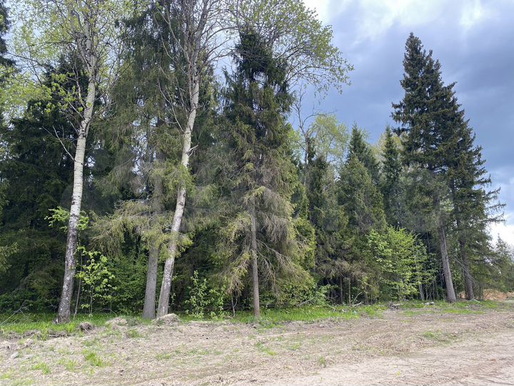 Участок 11 сот. (ИЖС)