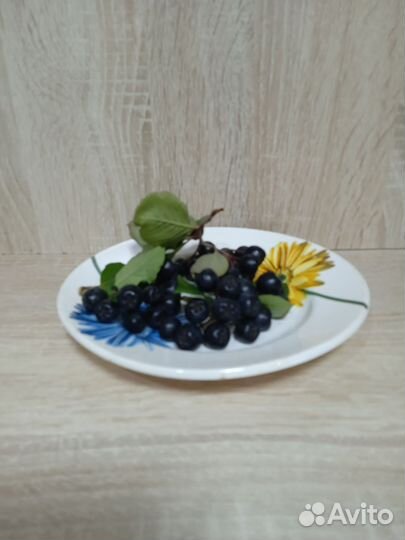 Черноплодка