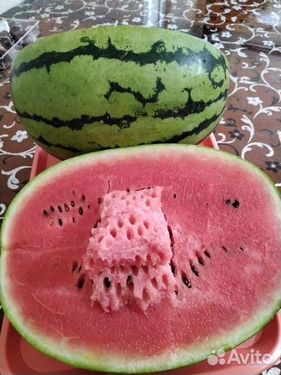 Бедуин F1 арбуз семена 200шт Bejo - Голландия