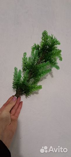 Веточка ели, пластик