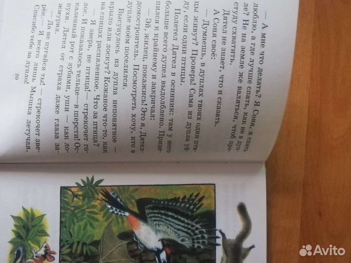 Лесные сказки