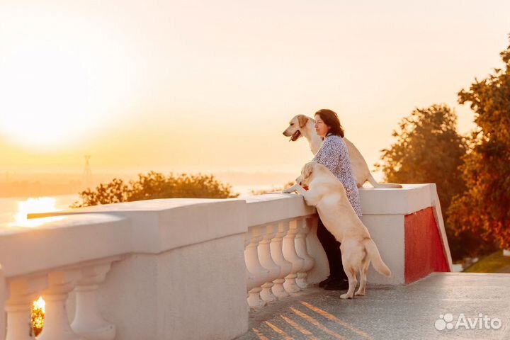 Фотограф анималист