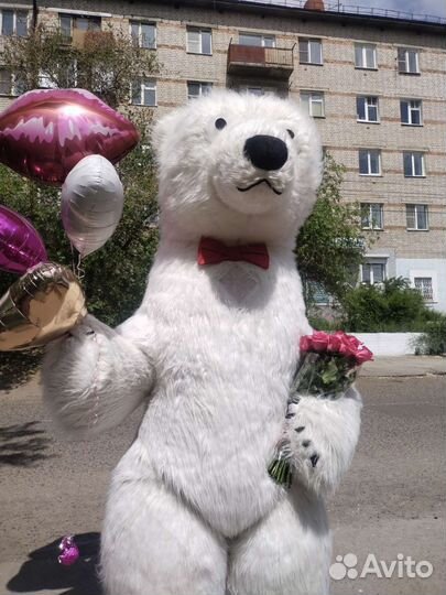 Белый мишка поздравление