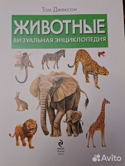 Энциклопедия