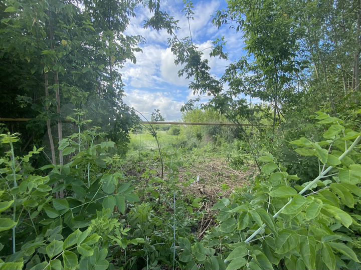 Участок 15 сот. (ИЖС)