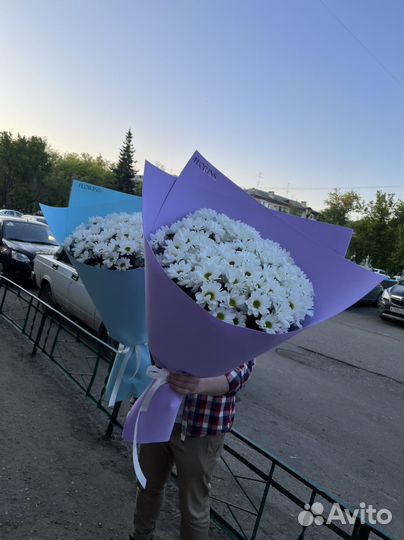 Гигант из ромашек